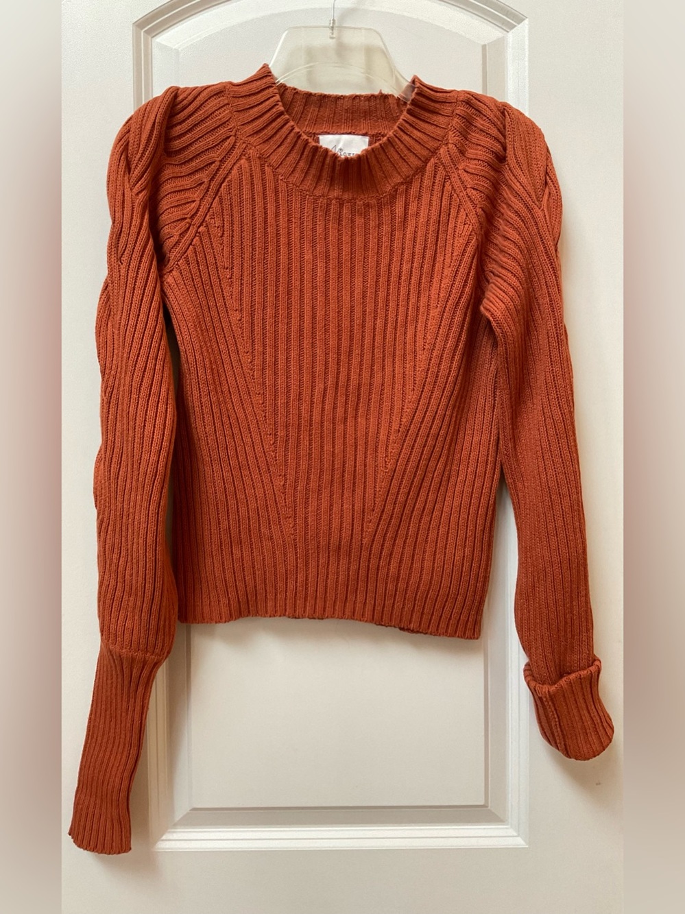 NWT JoFlower Braided Sleeve Sweater